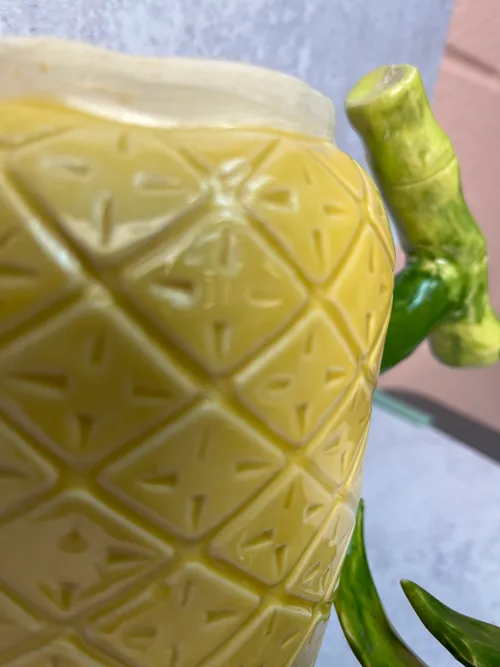 Pineapple Pitcher, photo 5